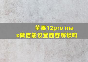 苹果12pro max微信能设置面容解锁吗